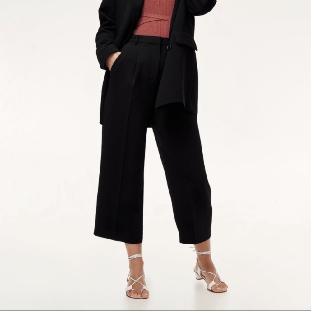 Aritzia pants size 2